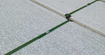 温州 芝麻白斧剁面