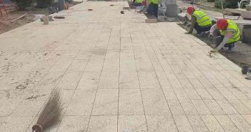 温州黄金麻荔枝面地铺案例