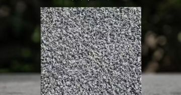 温州 芝麻黑荔枝面