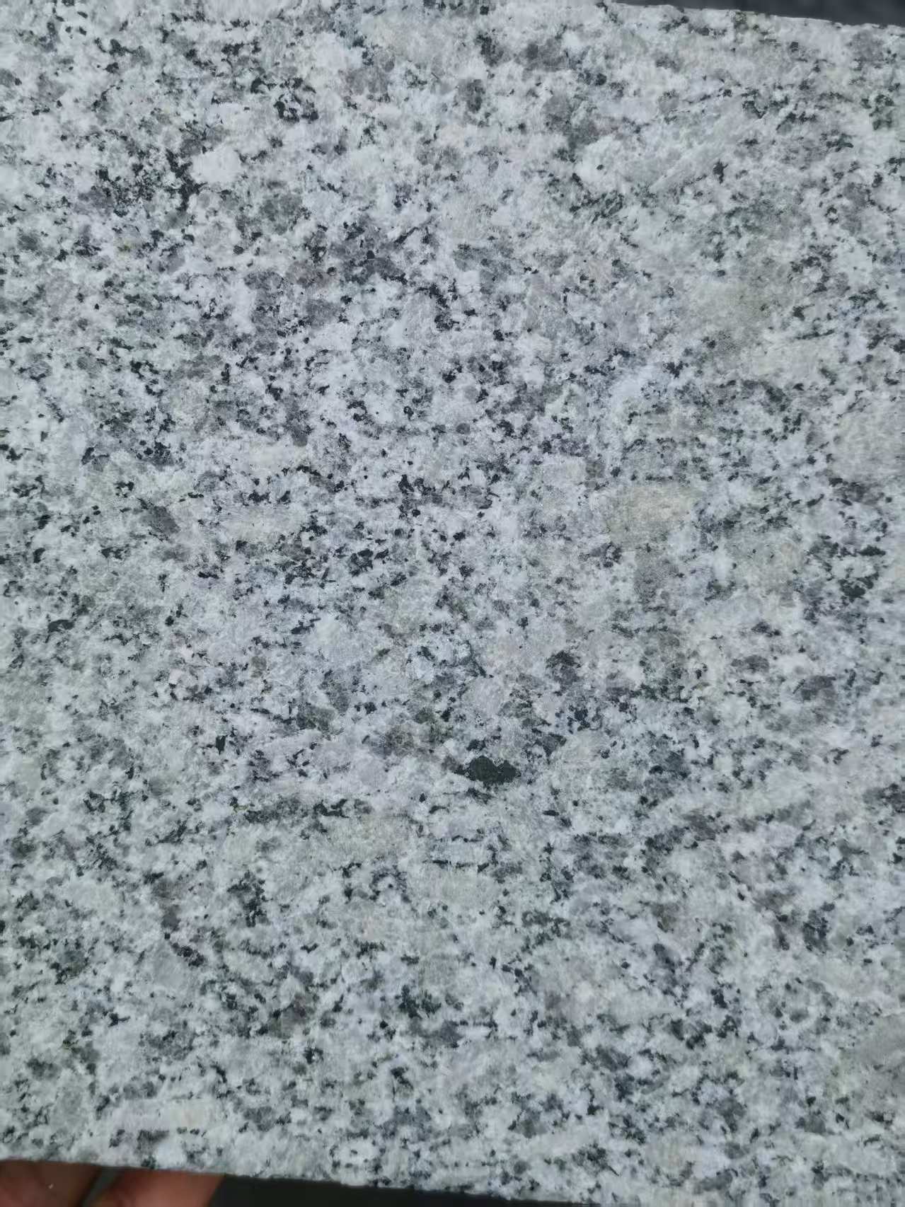 温州 芙蓉白火烧面