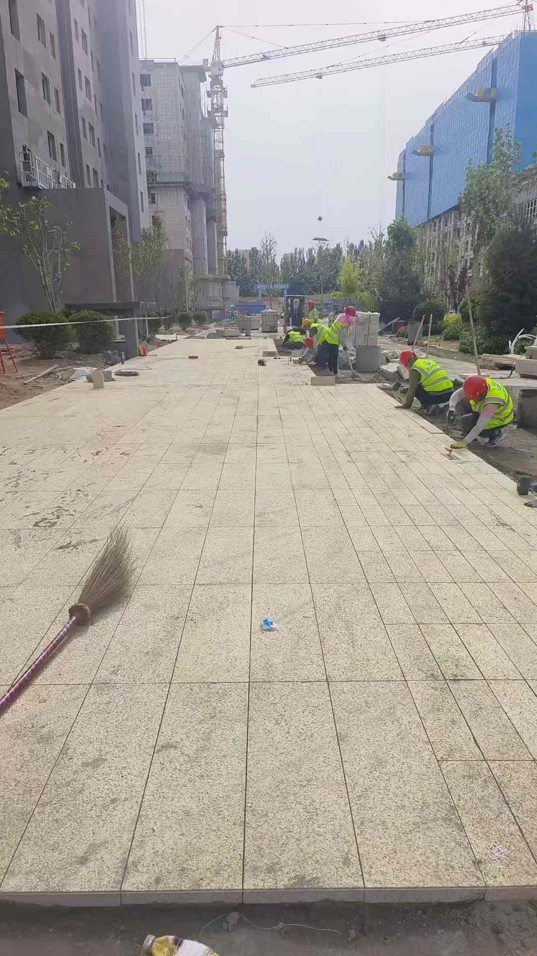 温州黄金麻荔枝面地铺案例
