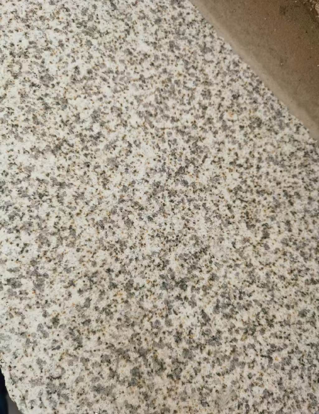 温州 黄金麻中黄光面